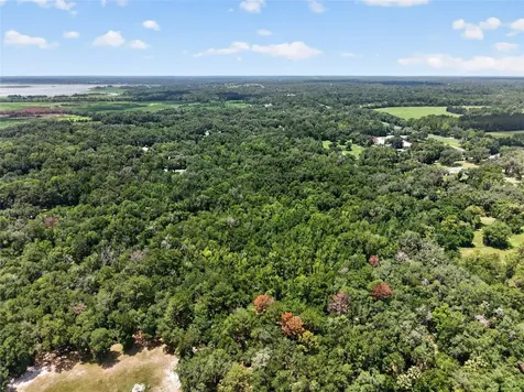 5725 NW 219th Street Road Micanopy FL 32667