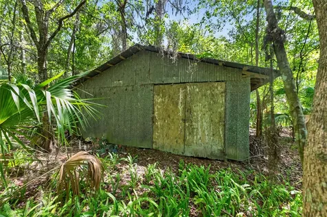 5725 NW 219th Street Road Micanopy FL 32667