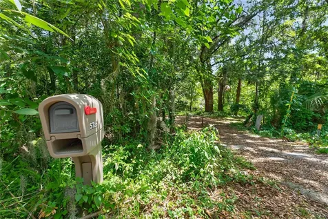 5725 NW 219th Street Road Micanopy FL 32667