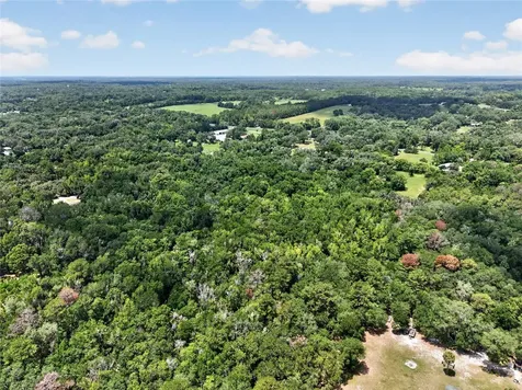 5725 NW 219th Street Road Micanopy FL 32667