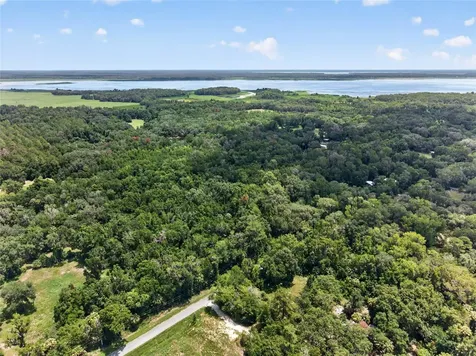 5725 NW 219th Street Road Micanopy FL 32667