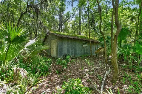 5725 NW 219th Street Road Micanopy FL 32667