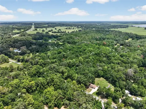 5725 NW 219th Street Road Micanopy FL 32667