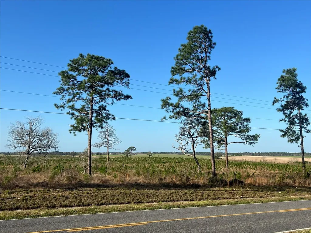 Levy Street Williston FL 32696