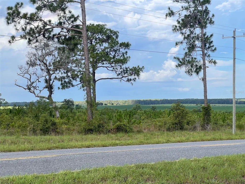 Levy Street Williston FL 32696