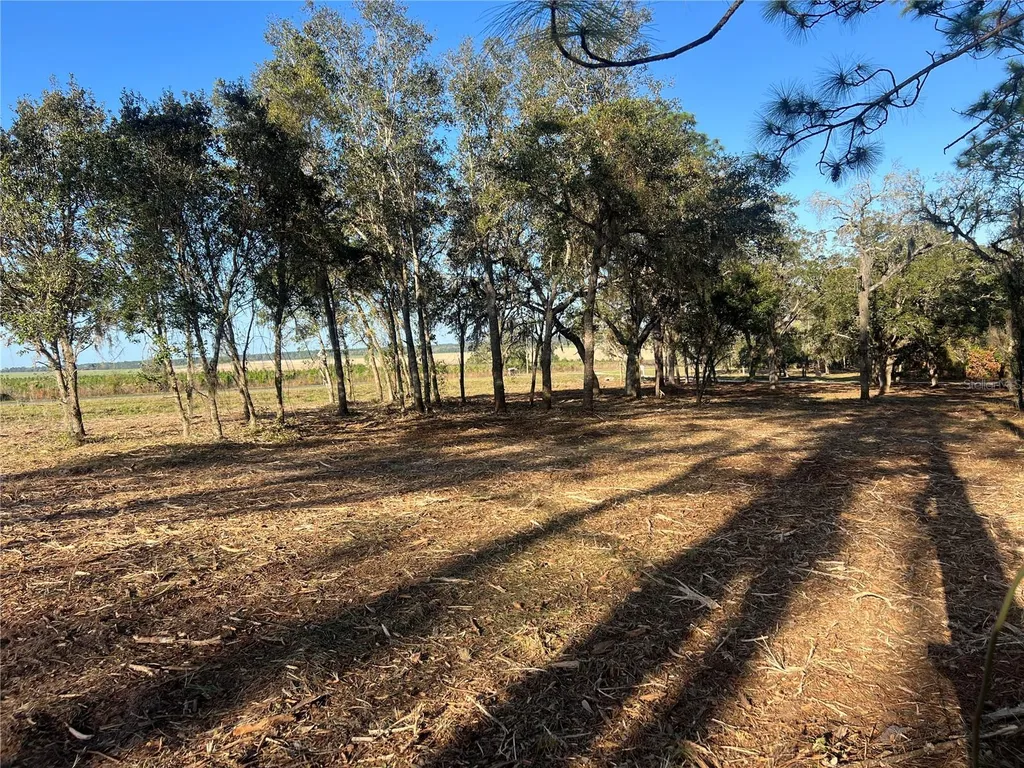 Levy Street Williston FL 32696