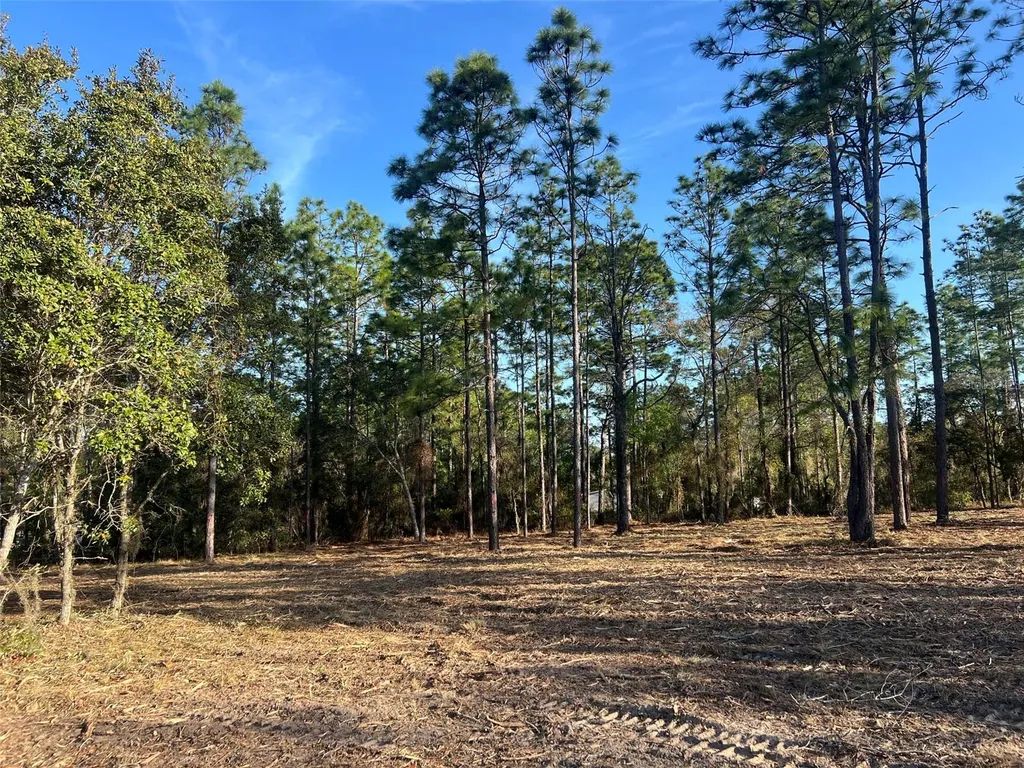 Levy Street Williston FL 32696