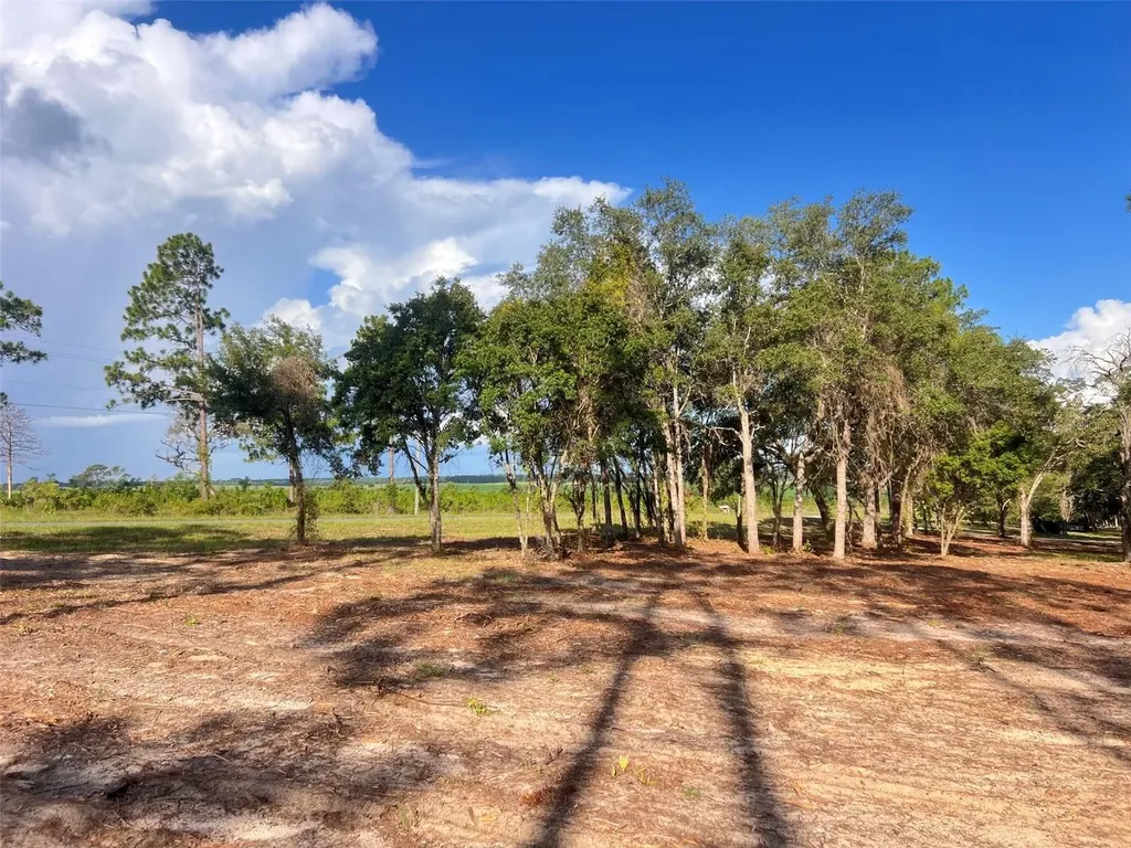 Levy Street Williston FL 32696