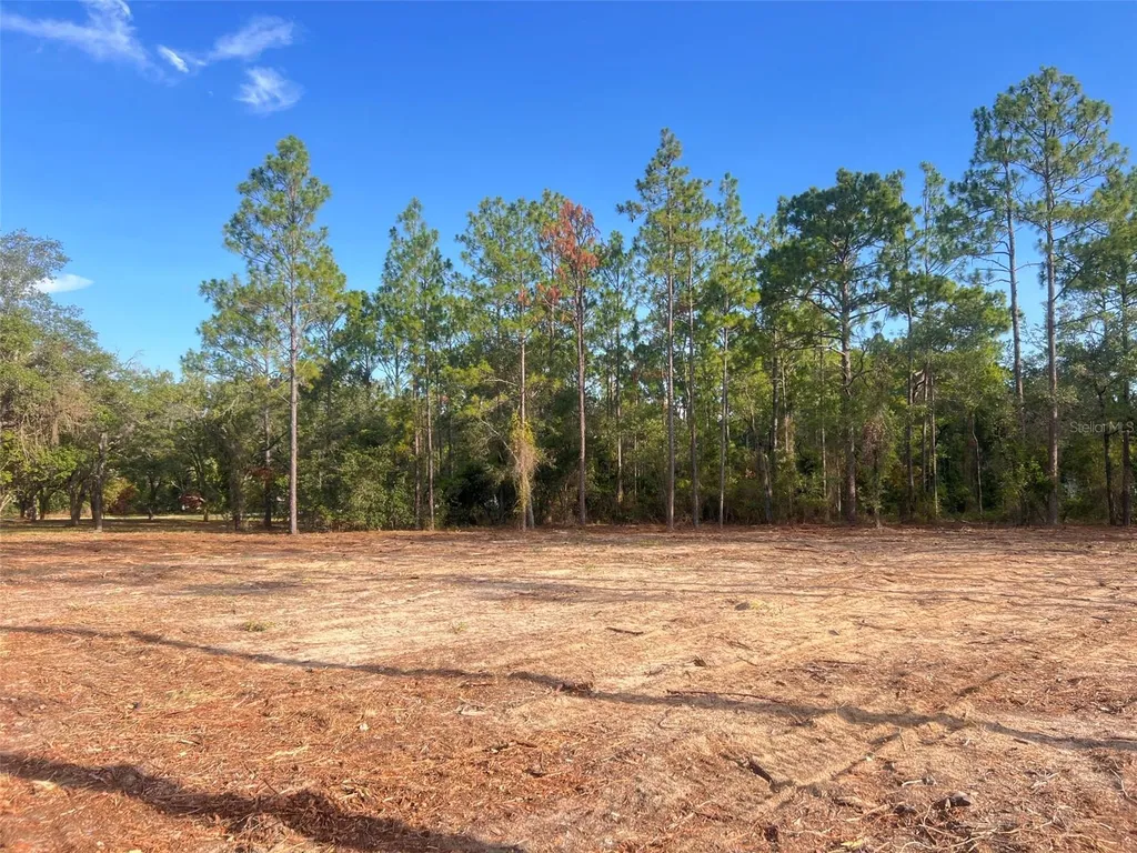 Levy Street Williston FL 32696