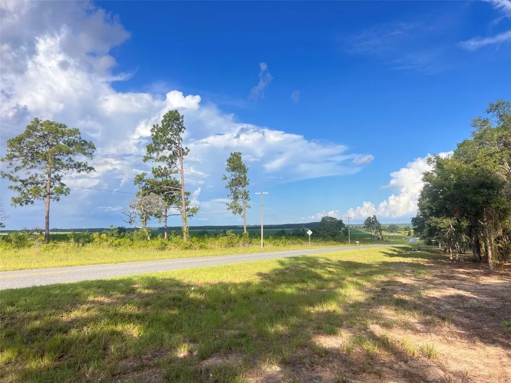 Levy Street Williston FL 32696
