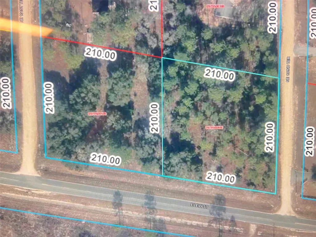 Levy Street Williston FL 32696