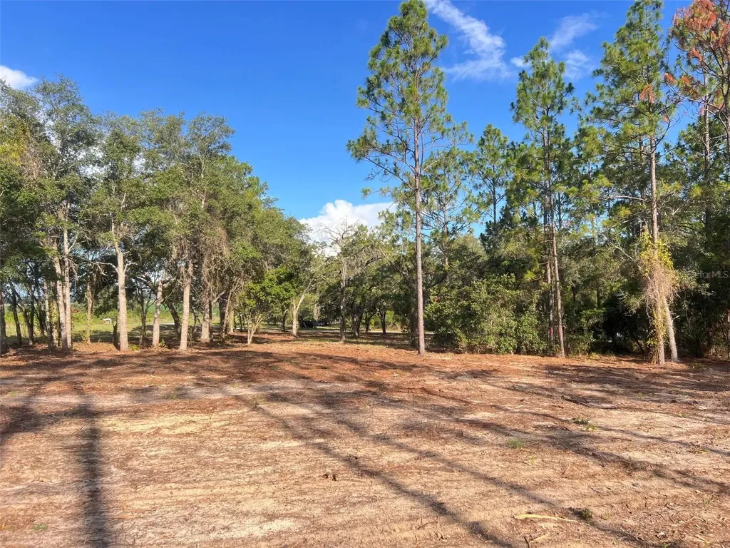 Levy Street Williston FL 32696
