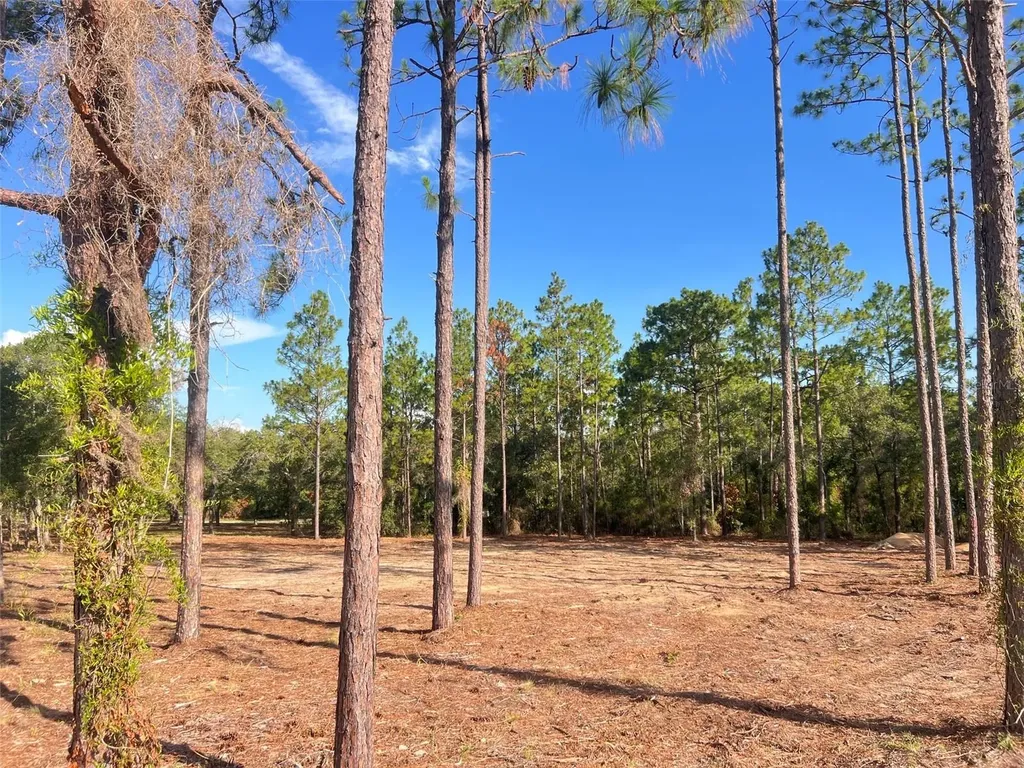 Levy Street Williston FL 32696