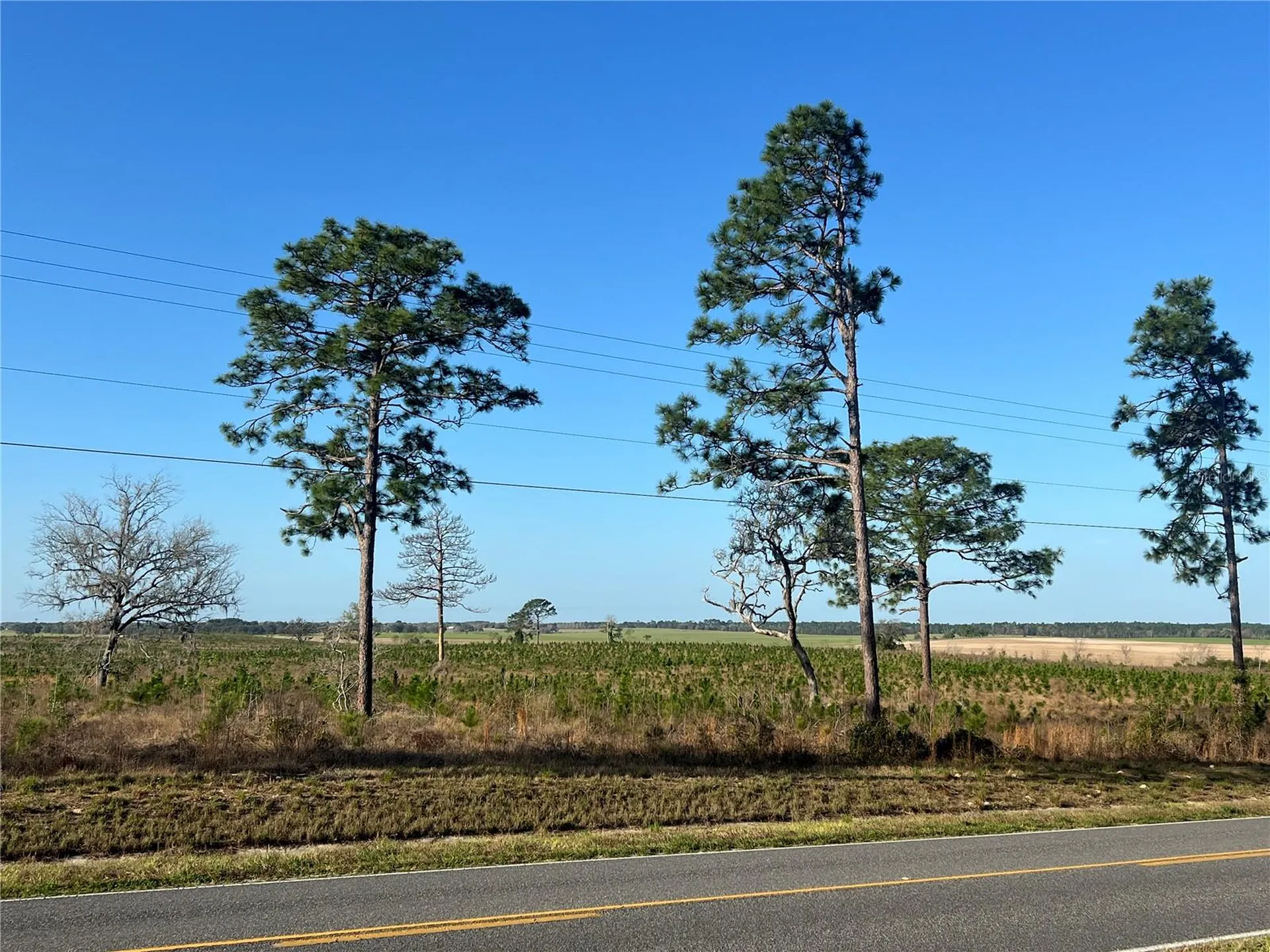 Levy Street Williston FL 32696