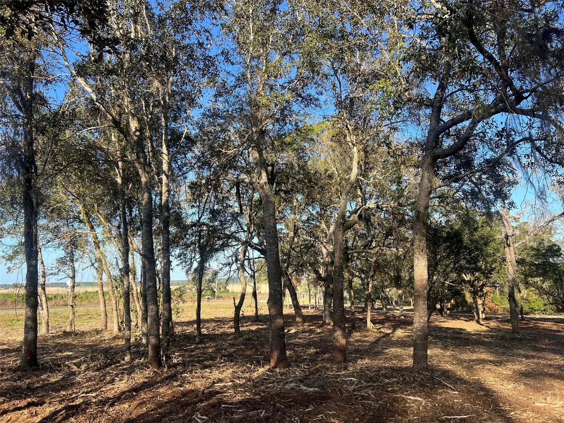 Levy Street Williston FL 32696