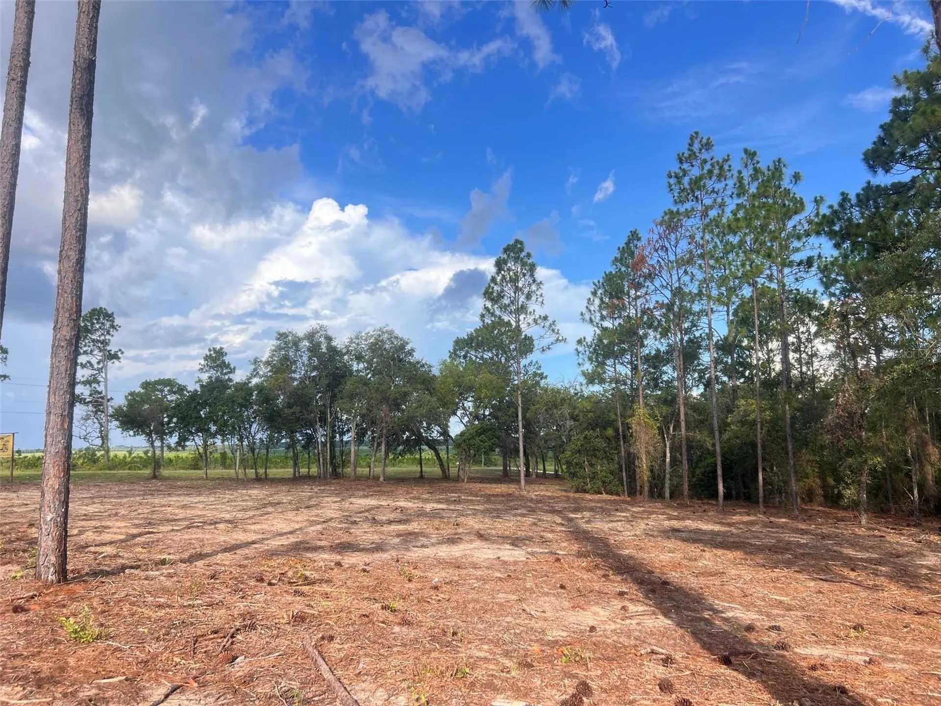 Levy Street Williston FL 32696
