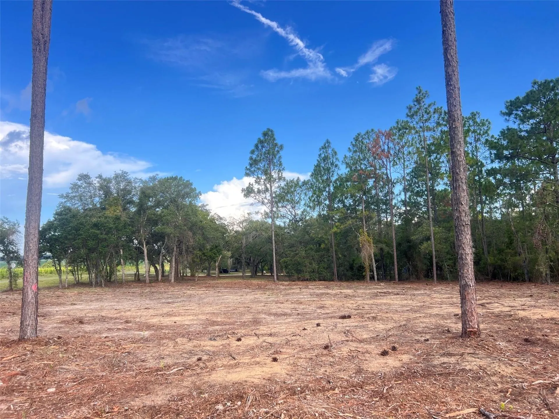 Levy Street Williston FL 32696