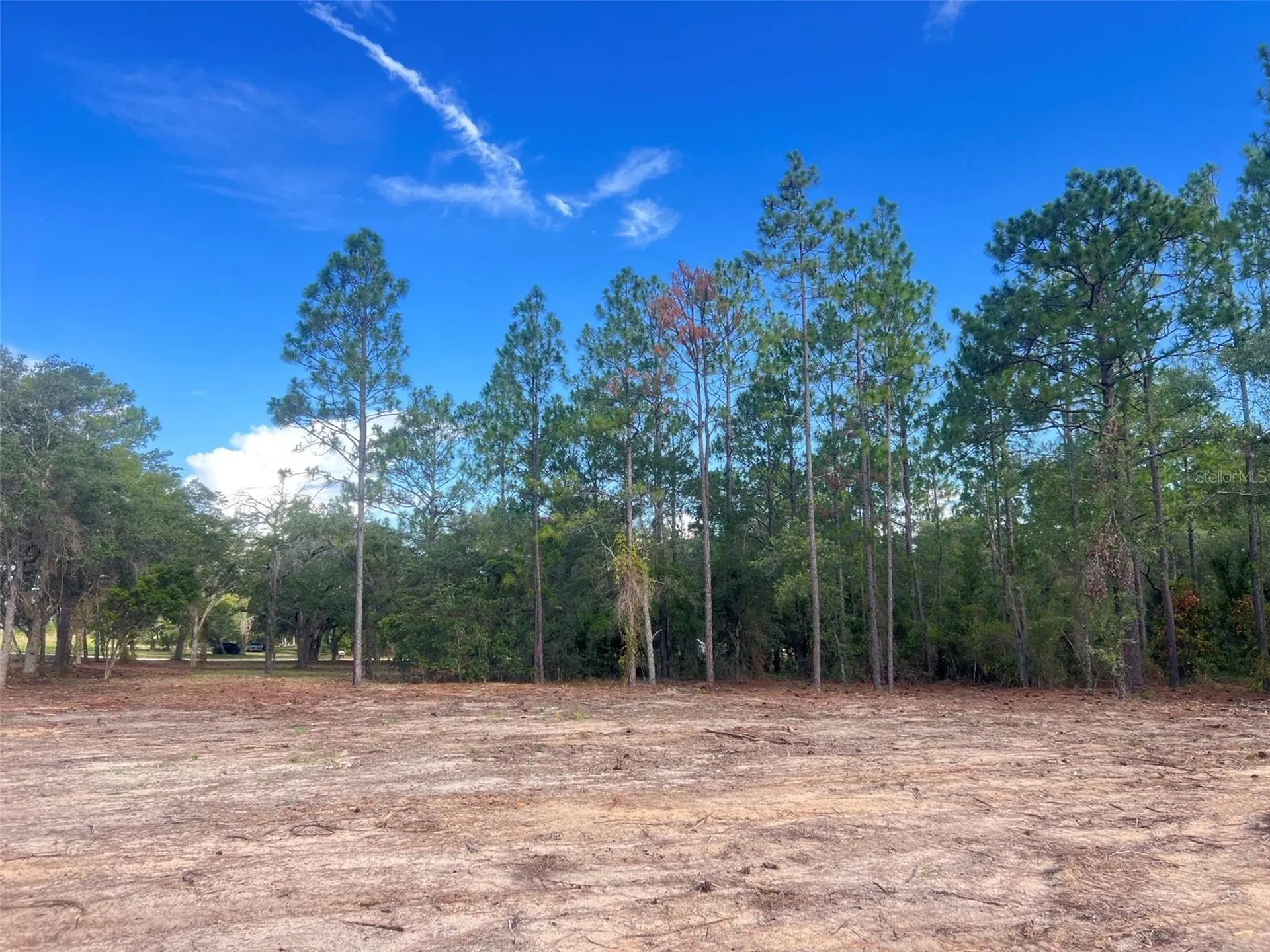 Levy Street Williston FL 32696
