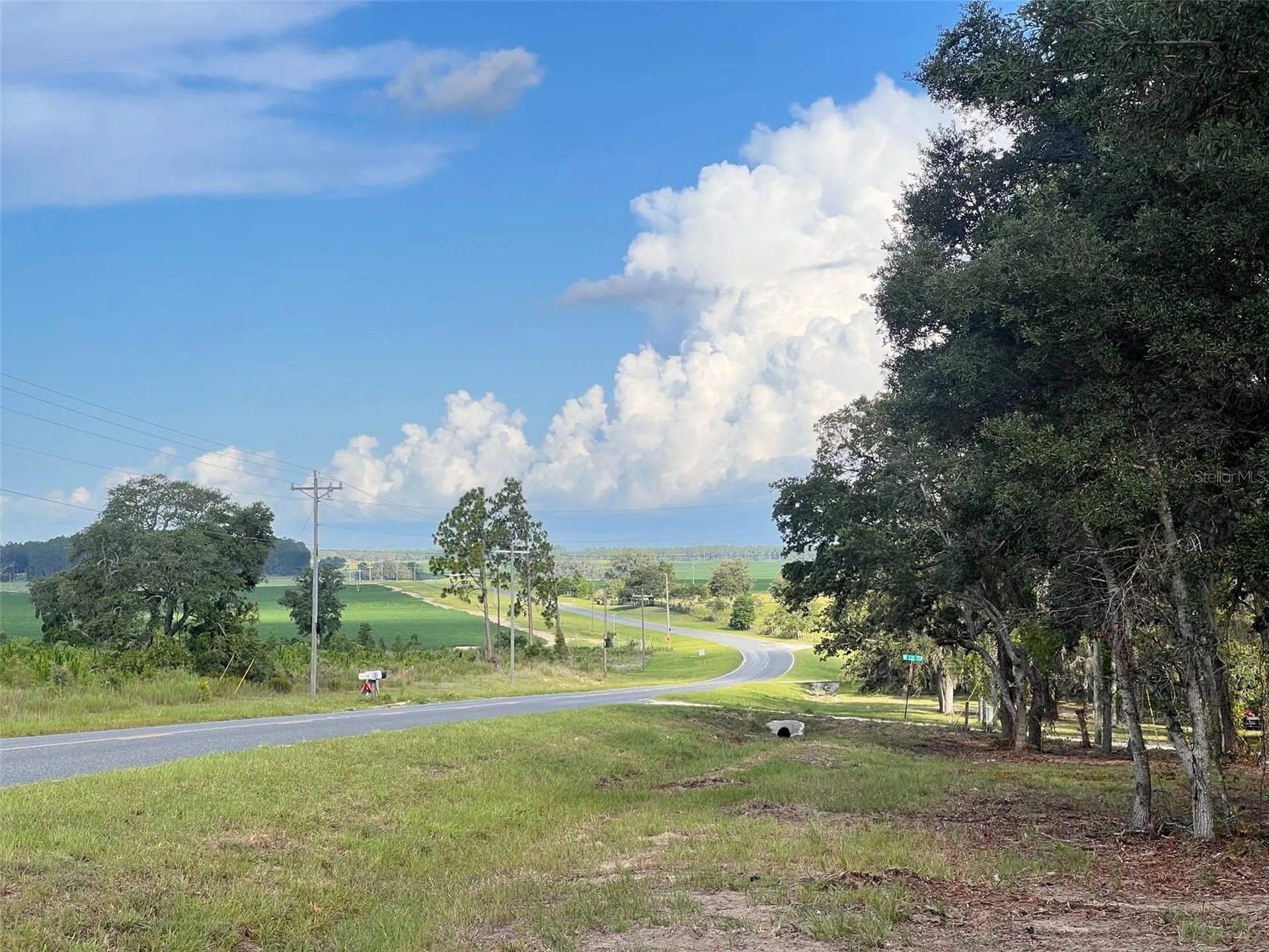 Levy Street Williston FL 32696