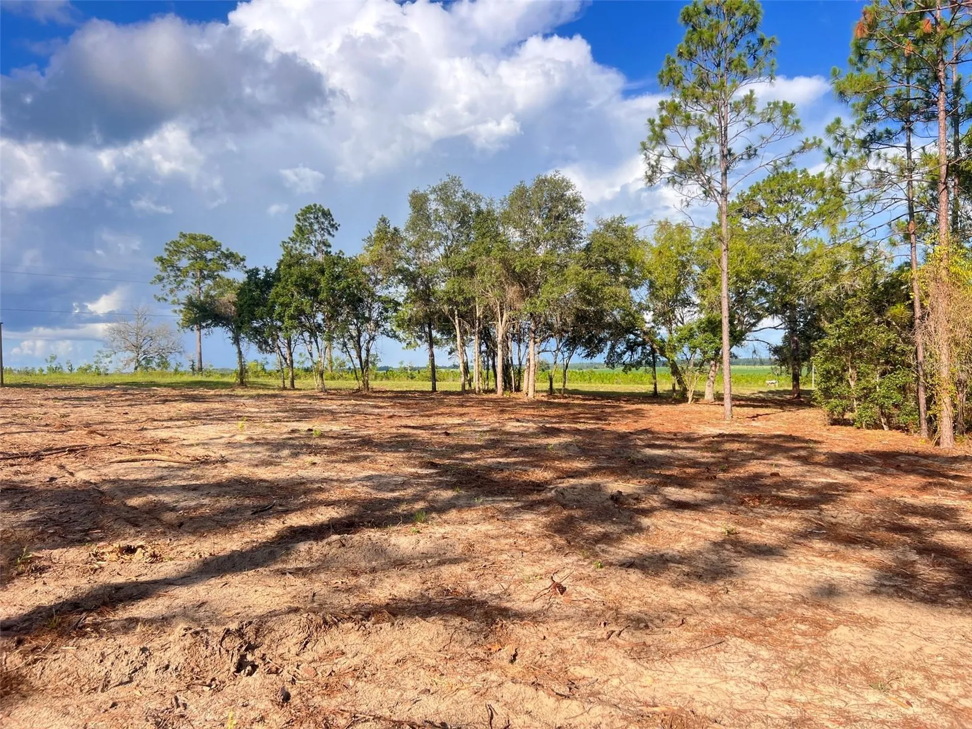 Levy Street Williston FL 32696