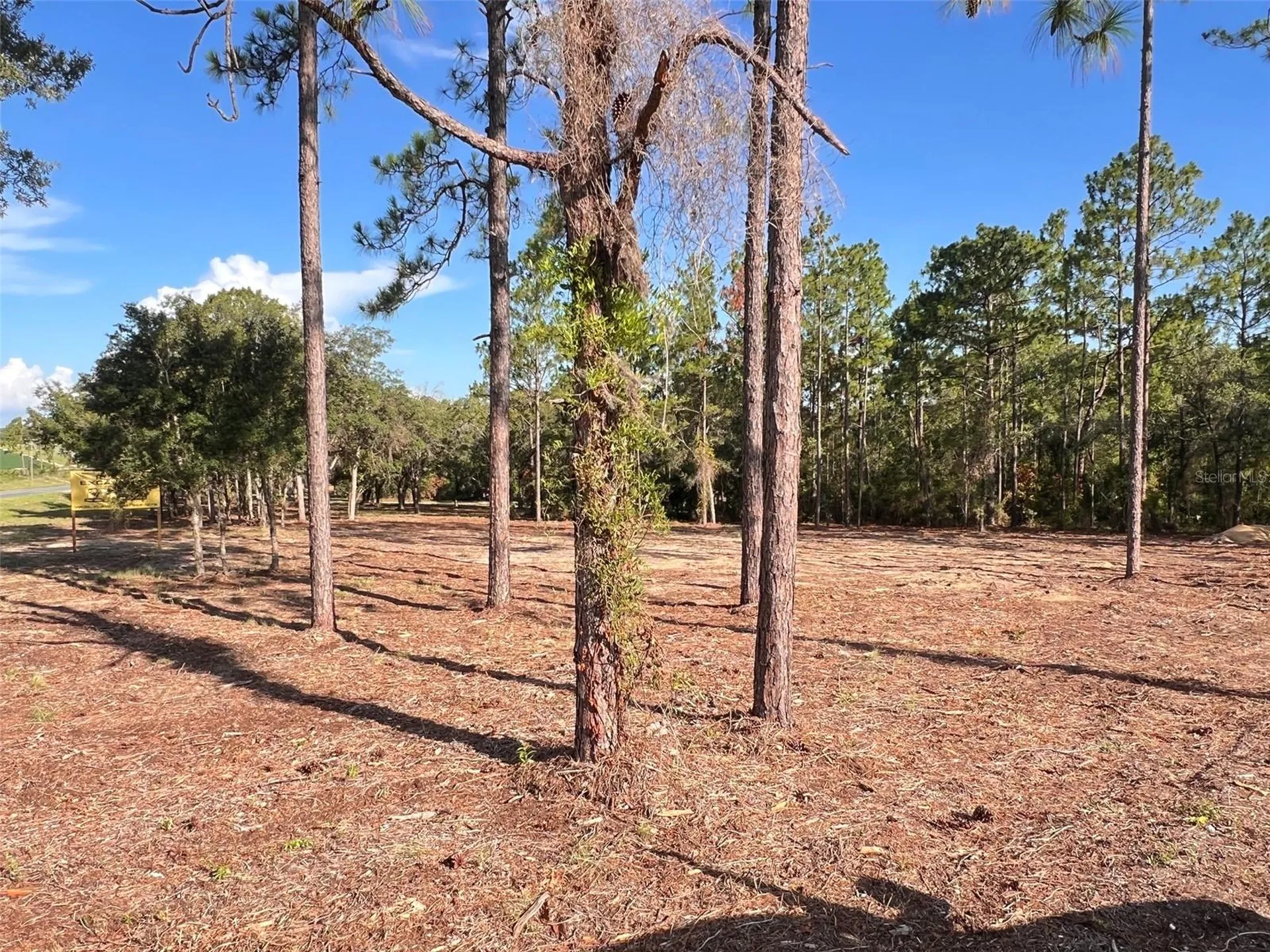 Levy Street Williston FL 32696