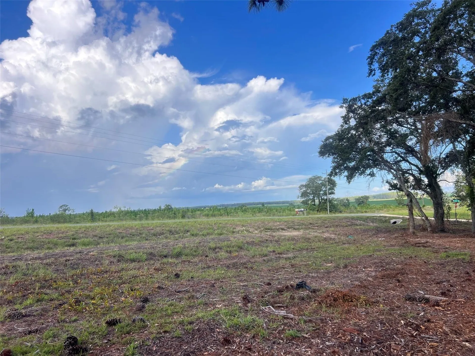 Levy Street Williston FL 32696