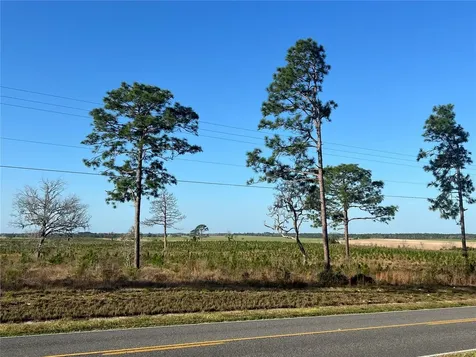 Levy Street Williston FL 32696