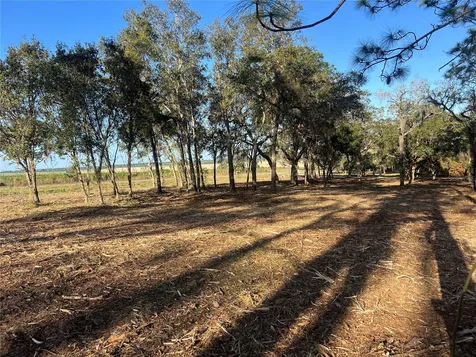 Levy Street Williston FL 32696