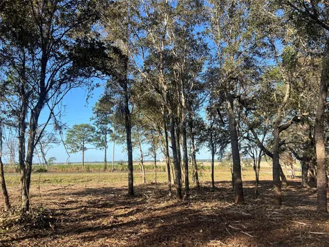 Levy Street Williston FL 32696