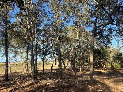Levy Street Williston FL 32696