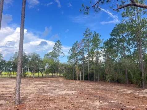 Levy Street Williston FL 32696
