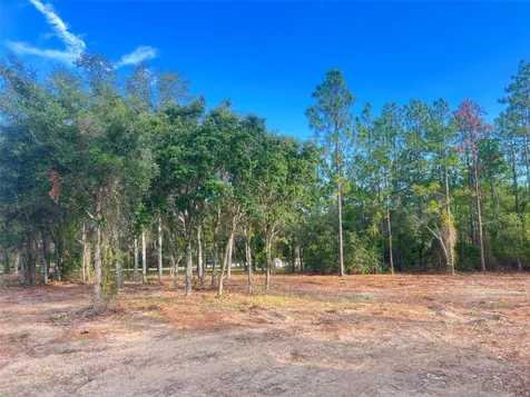Levy Street Williston FL 32696