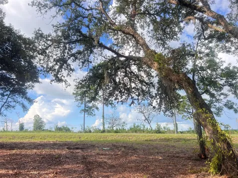 Levy Street Williston FL 32696
