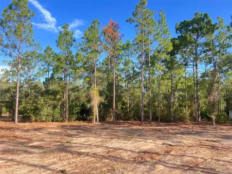 Levy Street Williston FL 32696