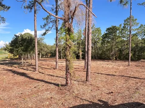 Levy Street Williston FL 32696