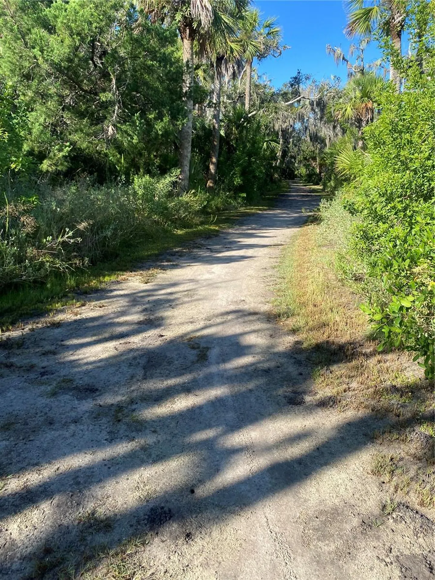 18 Cedar Dunes Drive New Smyrna Beach FL 32169