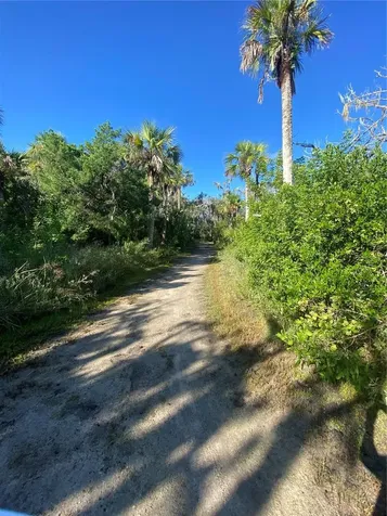 18 Cedar Dunes Drive New Smyrna Beach FL 32169