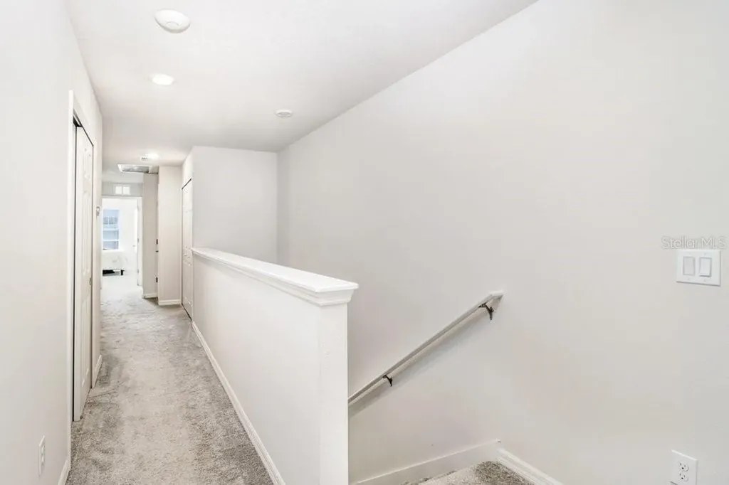 5036 Blue Latan Lane Tampa FL 33610