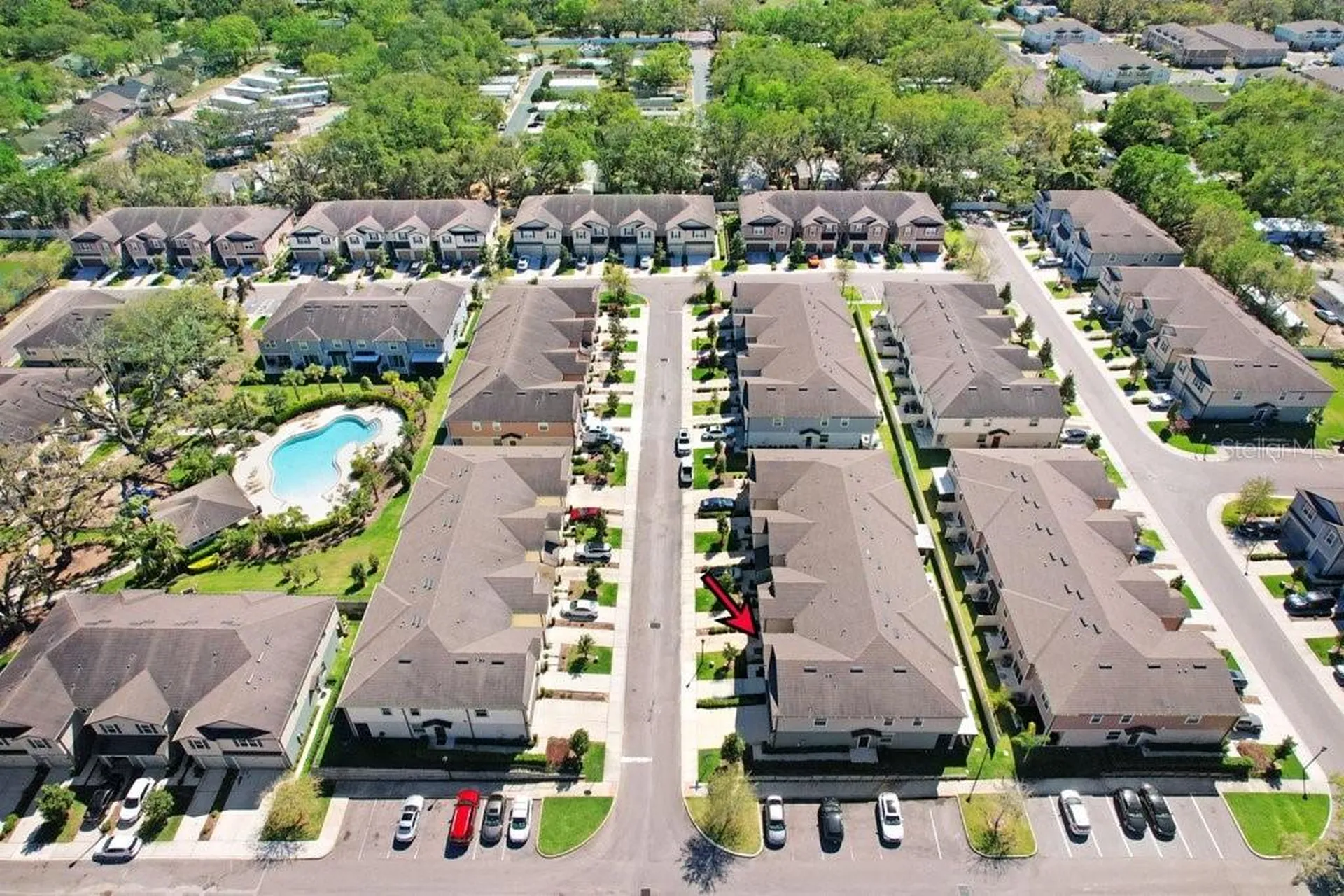 5036 Blue Latan Lane Tampa FL 33610
