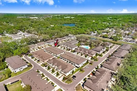 5036 Blue Latan Lane Tampa FL 33610