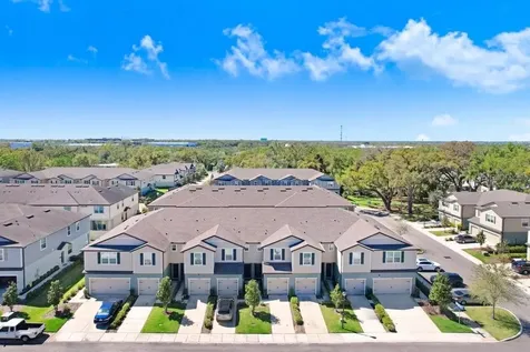 5036 Blue Latan Lane Tampa FL 33610