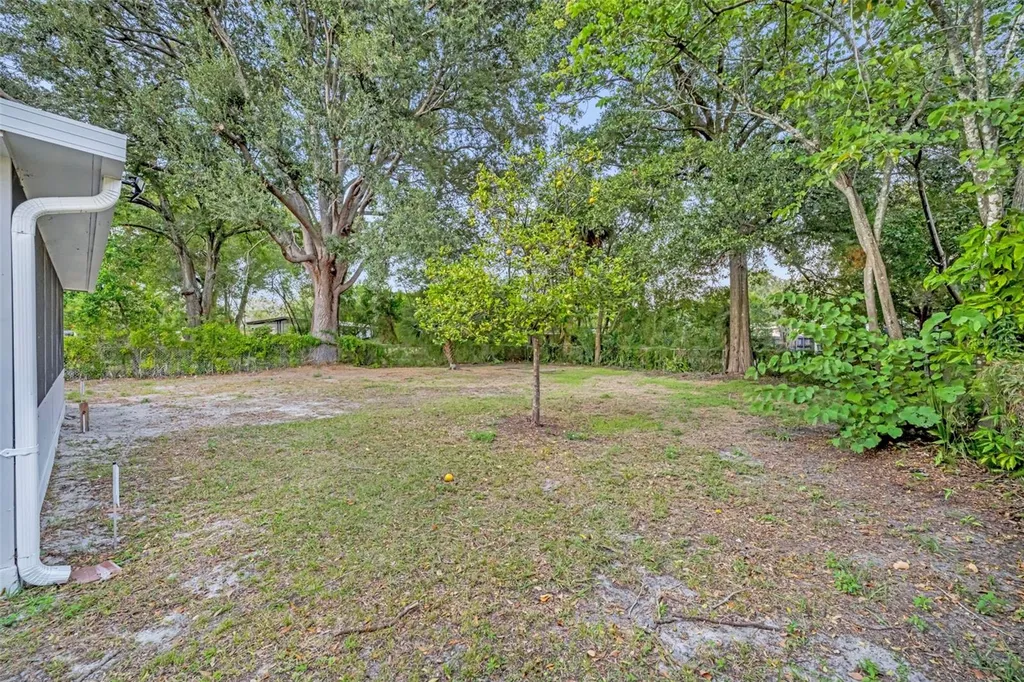 1221 Elinore Drive Orlando FL 32808