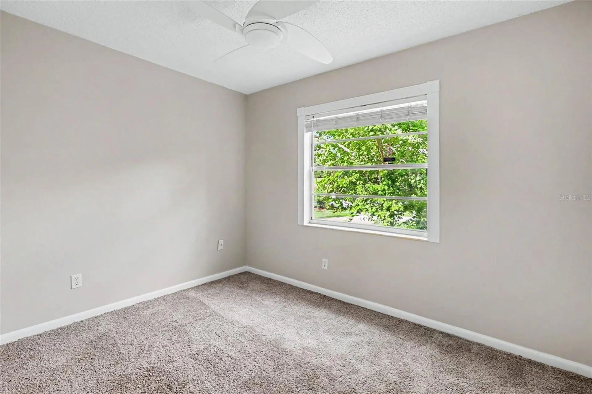 301 Regal Park Drive Valrico FL 33594