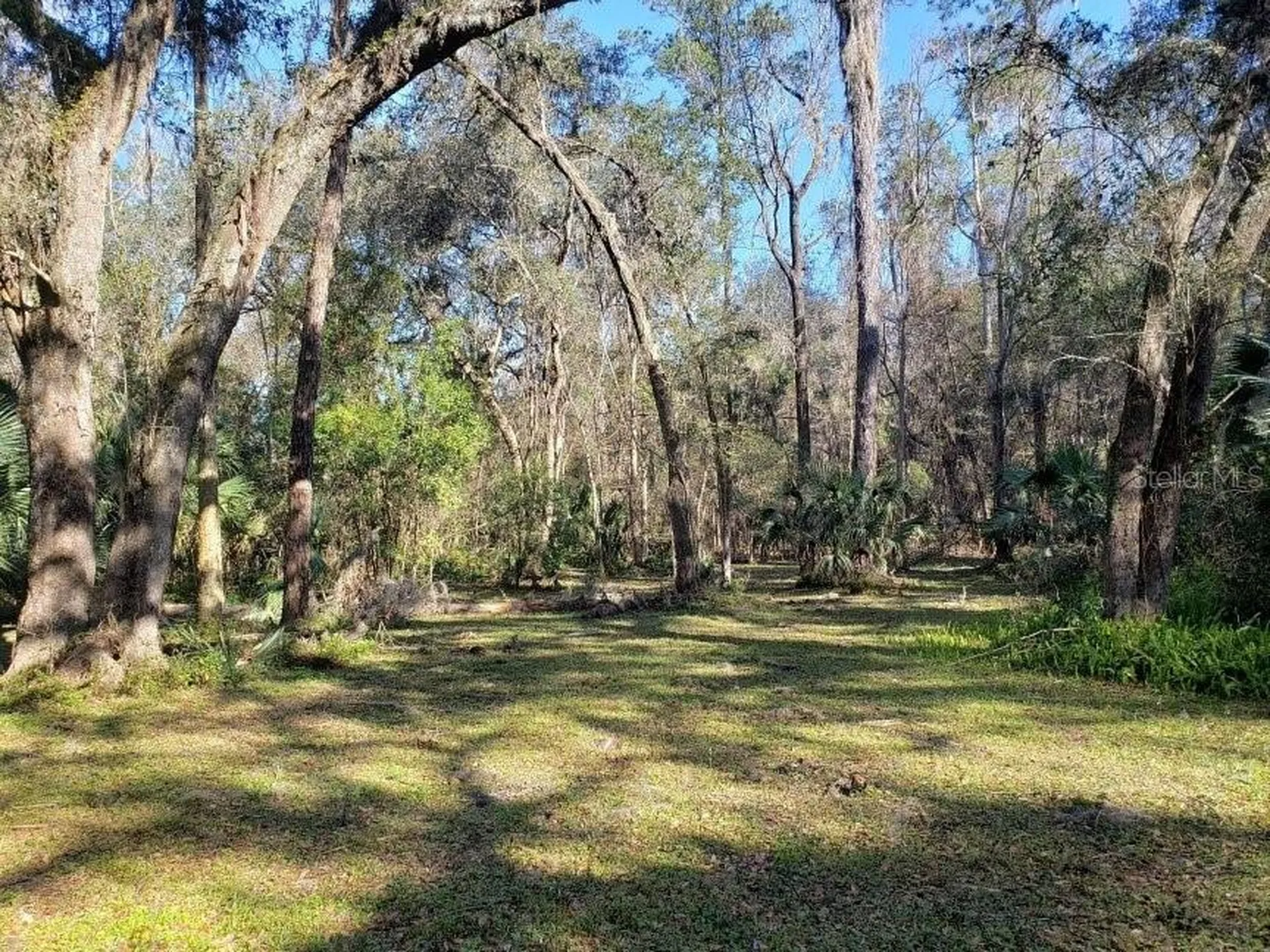 2929 SW 2nd Court Gainesville FL 32601