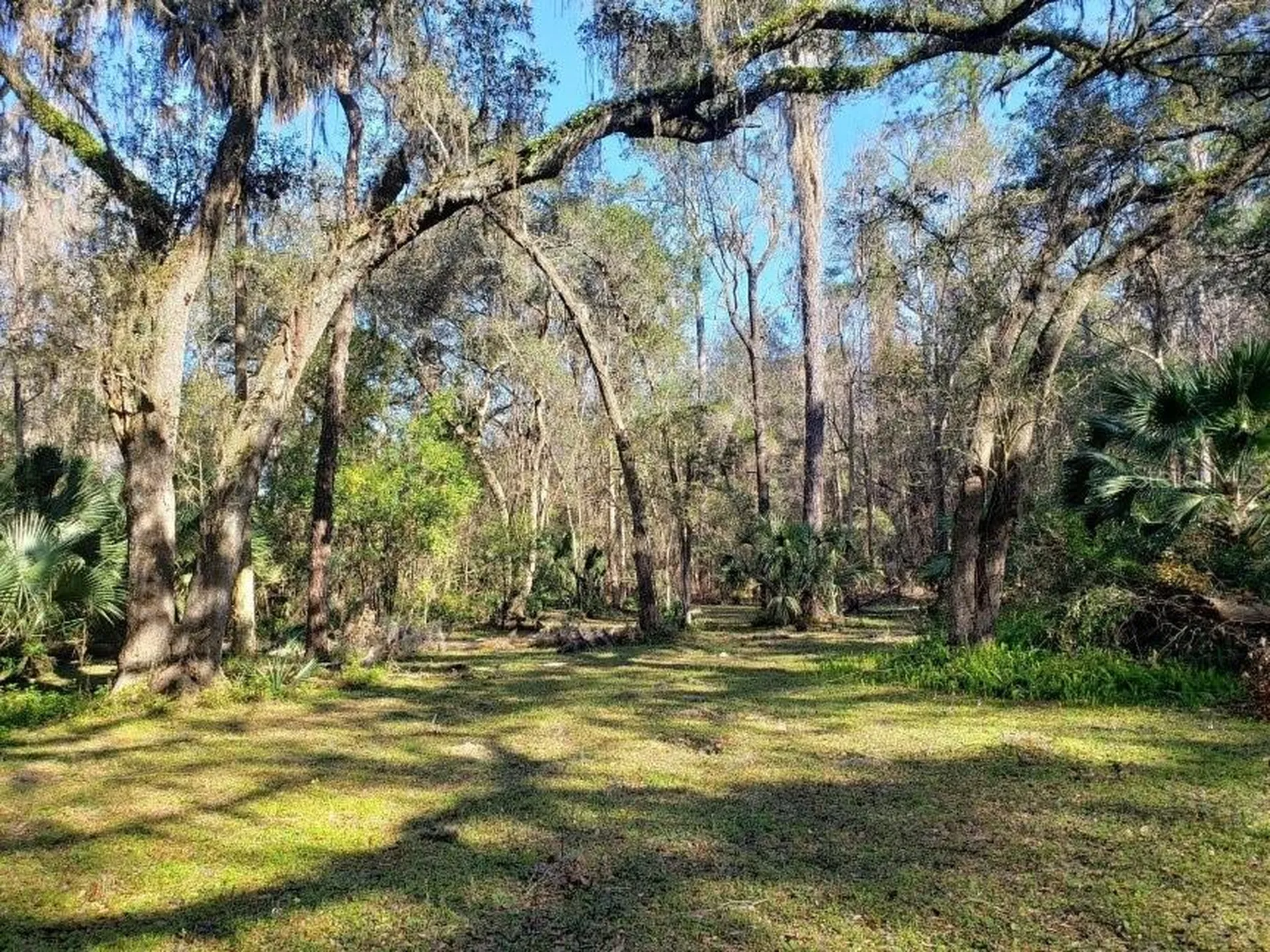 2929 SW 2nd Court Gainesville FL 32601