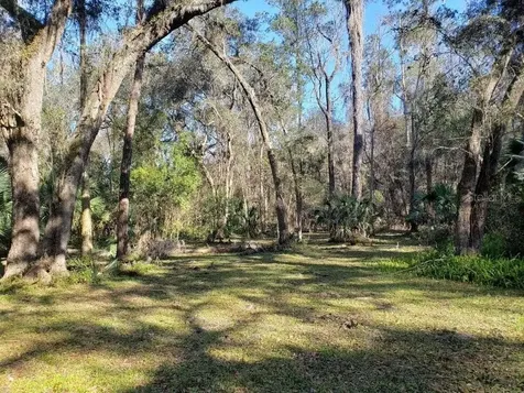 2929 SW 2nd Court Gainesville FL 32601