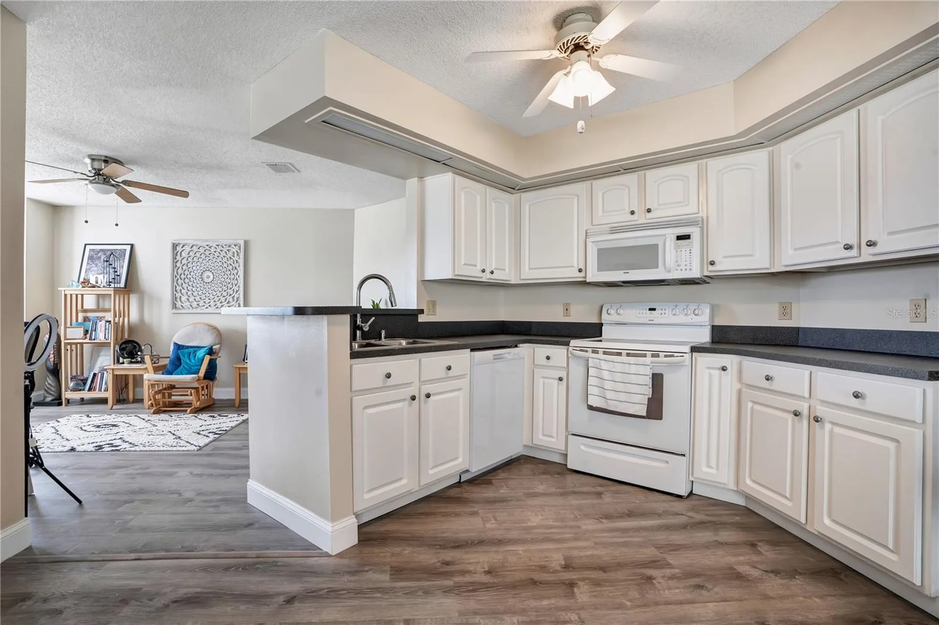 13038 Los Angeles Woods Lane Orlando FL 32824