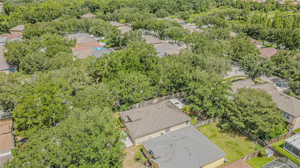 19145 Wood Sage Drive Tampa FL 33647