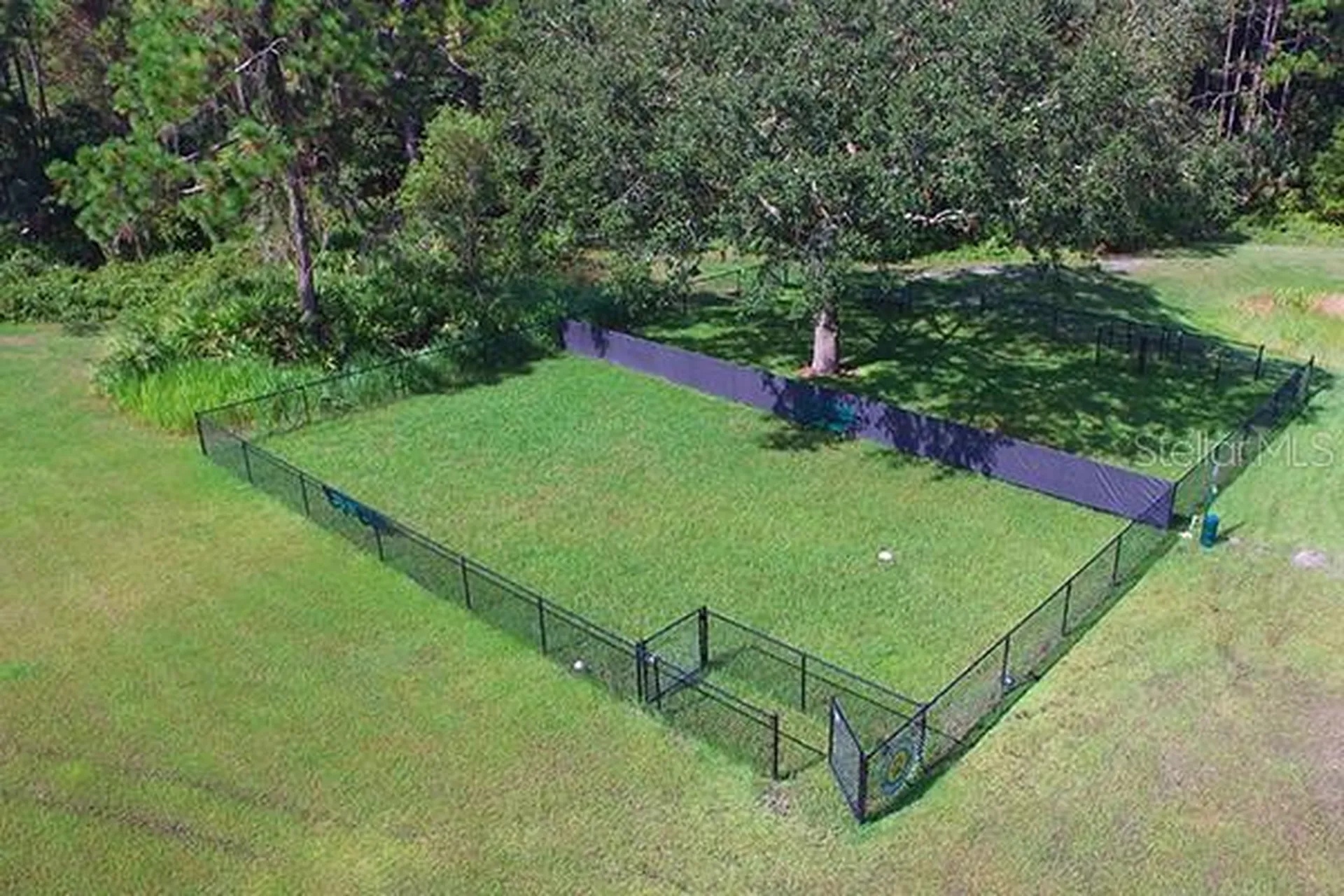19145 Wood Sage Drive Tampa FL 33647