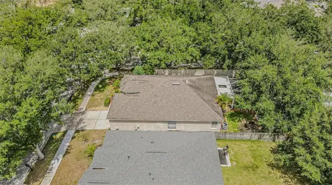19145 Wood Sage Drive Tampa FL 33647